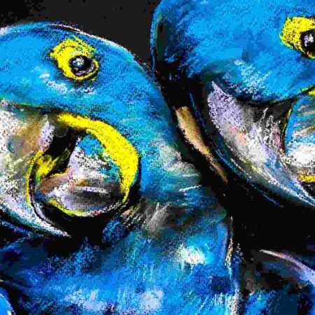 portfolio-image portfolio-image